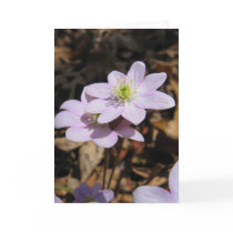 Lavendar Wildflower Note Card