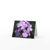 Lavendar Wildflower Note Card