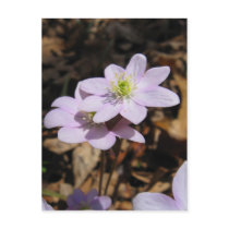 Lavendar Wildflower Postcard