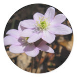 Lavendar Wildflower Sticker