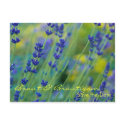 Lavendel • Save the Date Postkarte postcards