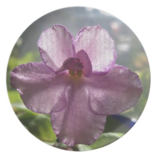 Lavender African Violet Flower Plate