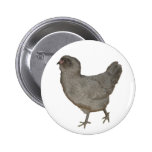 Lavender Ameraucana Rare Breed Hen buttons