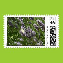 Lavender and butterfly postage stamps