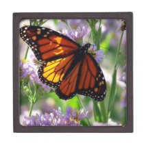 Lavender and Monarchs Gift box Premium Jewelry Boxes