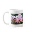 Lavender and Orange Phalenopsis Orchids mugs