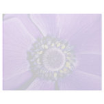 Lavender anemone, close-up  flowers custom letterhead