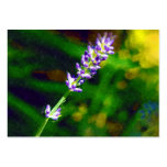 Lavender  Artcard ACEO Business Card