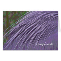 Lavender Blue Feathers Greeting Cards