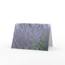 lavender card by SandraTAlexander lavender card