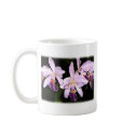 Lavender Cattleya Orchids mugs