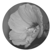 Lavender Chiffon Hibiscus stickers by princessklb07 Lavender Chiffon Hibiscus stickers