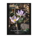 Lavender Crocus postcards by MAPASUE Lavender Crocus postcards