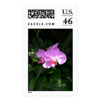 Lavender Delight postage by adpswilkinson Lavender Delight postage