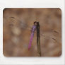 lavender dragonfly mouse pad