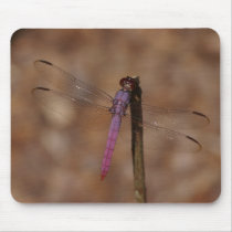 lavender dragonfly mousepads by scarrman lavender dragonfly mousepads