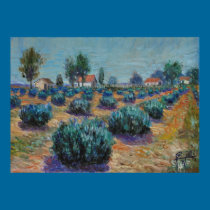 Lavender Farm Canvas Print