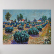 Lavender Farm Canvas Print