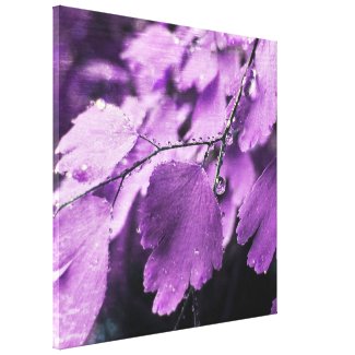 Lavender Fern Canvas Print