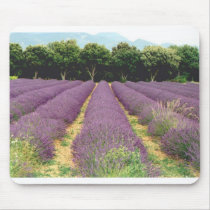 Lavender Field - Drome Provencal, France mousepads