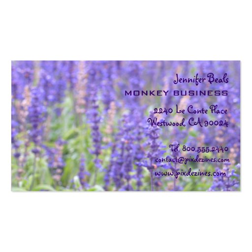 Lavender field photograph + chocolate business cards (back side)