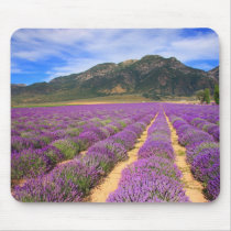Lavender Fields Forever Mousepad