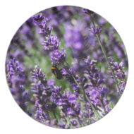 Lavender Fields Plate plate
