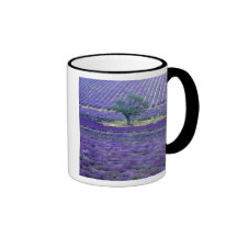 Lavender fields, Vence, Provence, France Coffee Mug