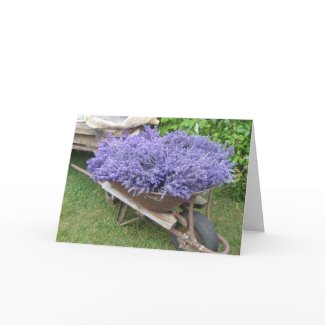 Lavender Filled Wheelbarrow card