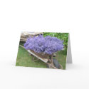 Lavender Filled Wheelbarrow cards