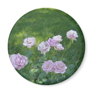 lavender flower garden magnet
