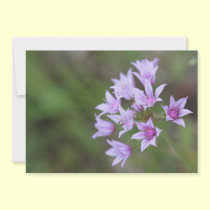 Lavender Flower Invitations