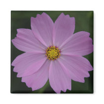 lavender flower magnets