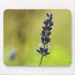 Lavender Flower Mouse Pad Design mousepads