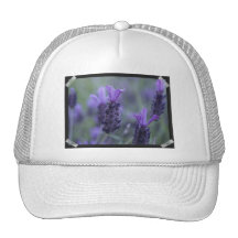 Lavender Flower Photo Baseball Hat