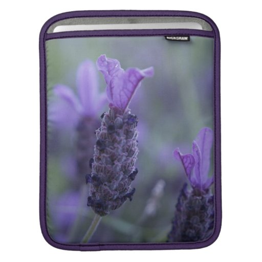 Lavender Flower Photo iPad Sleeve