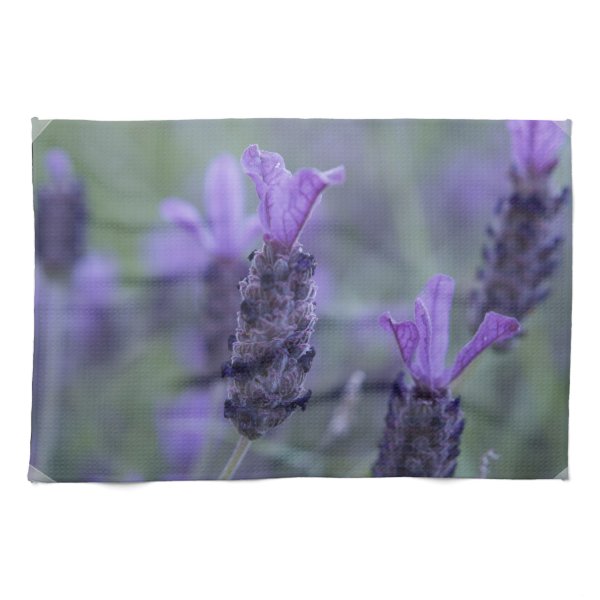Lavender Flower Photo Kitchen Towel