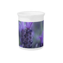 Lavender Flower Photo Pitcher