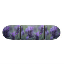 Lavender Flower Photo Skateboard