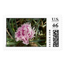 Lavender flower. stamps