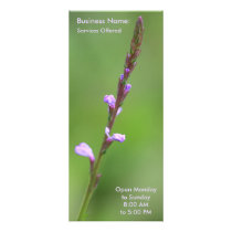 Lavender Flower Rack Card