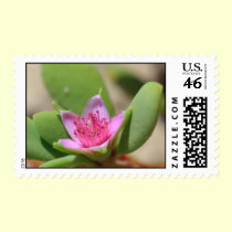 Lavender Flower Stamp