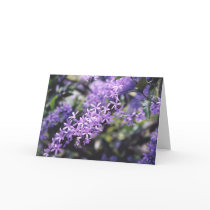 Lavender Flowers cards
