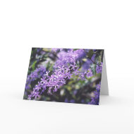 Lavender Flowers card