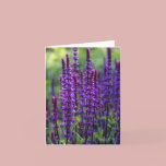 Lavender Flowers Card cards
