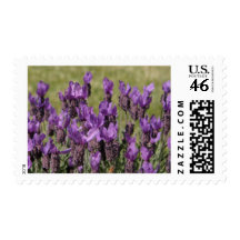 Lavender Flowers Wedding Postage Stamp