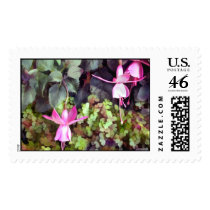 Lavender Fuchsias in Hanging Basket postage