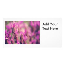 Lavender Garden Photo with Damask Swirls.