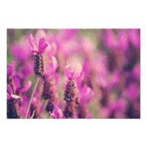 Lavender Garden Photo with Damask Swirls.