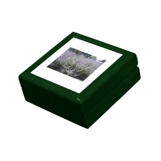 Lavender Gift Box giftbox